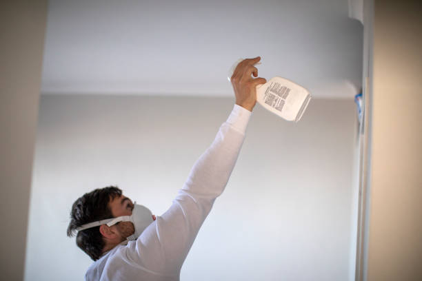 Best Home Mold Removal  in Patton Village, TX